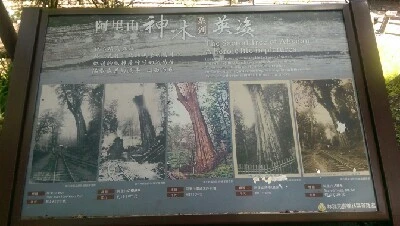 IMAG4881.jpg?type=w773