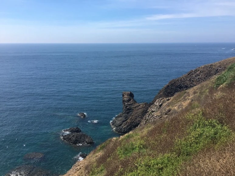 attachImage_3666866926.jpeg?type=w773