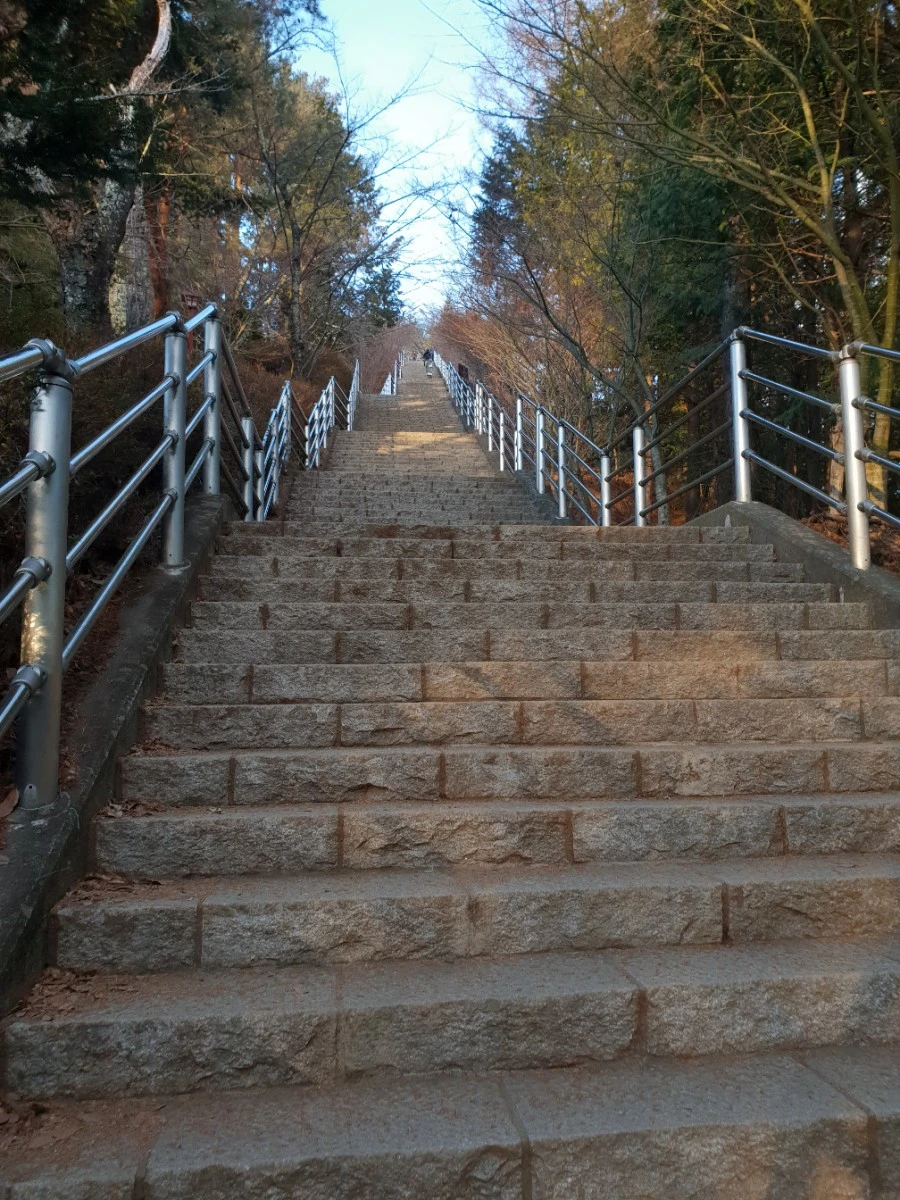 20190126_162820.jpg?type=w1