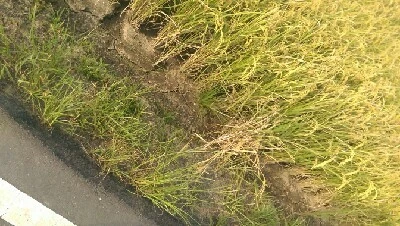 IMAG6239.jpg?type=w773