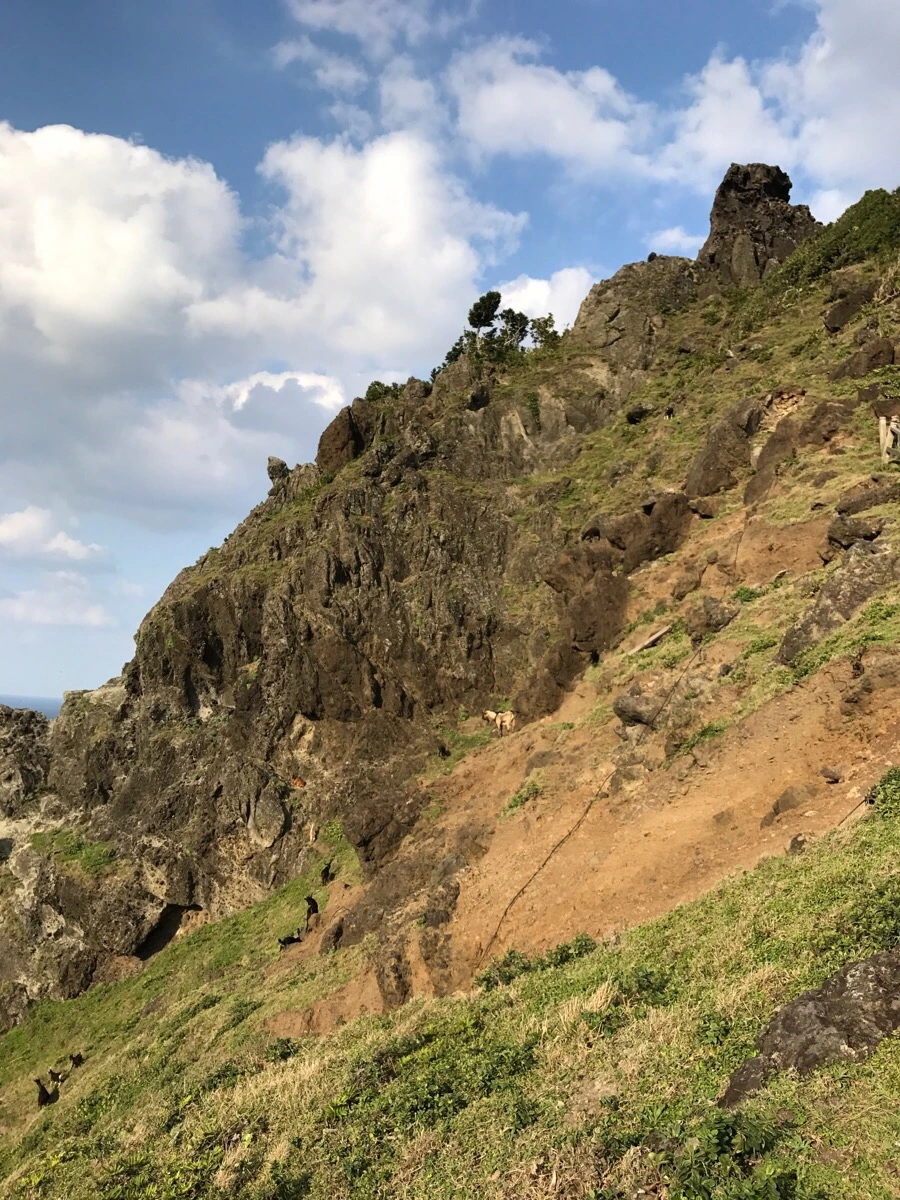 IMG_3779.jpg?type=w966