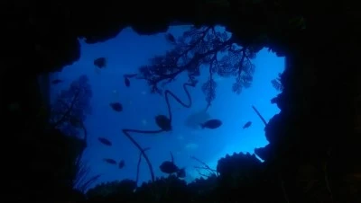 IMAG3289.jpg?type=w2