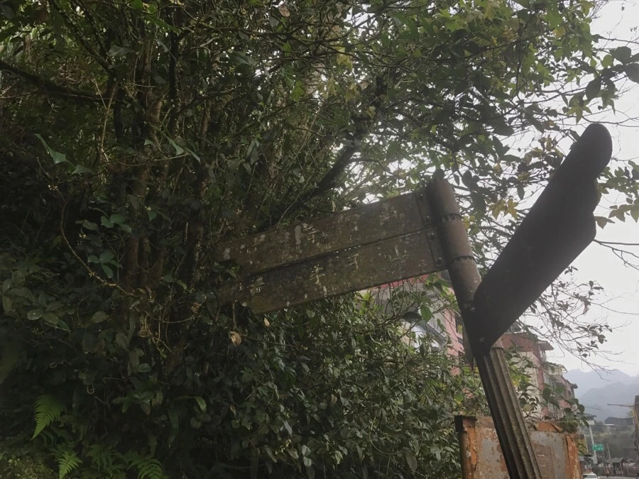 IMG_0972.jpg?type=w966