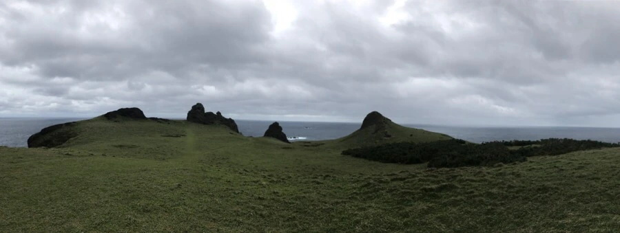 IMG_1642.jpg?type=w966