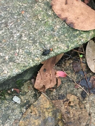 1463915296356.jpg?type=w773