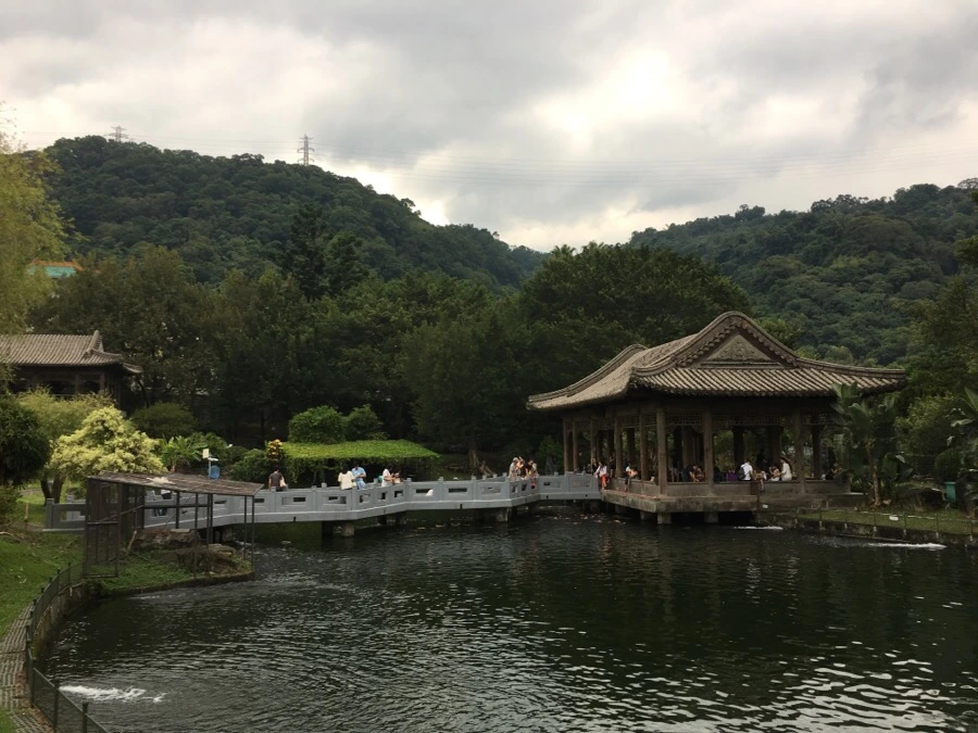 attachImage_3498841708.jpeg?type=w966