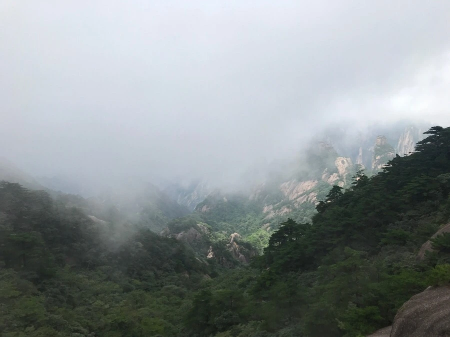 IMG_0819.jpg?type=w966