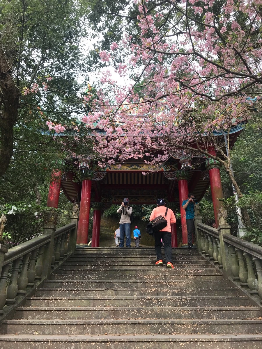 IMG_0019.jpg?type=w966