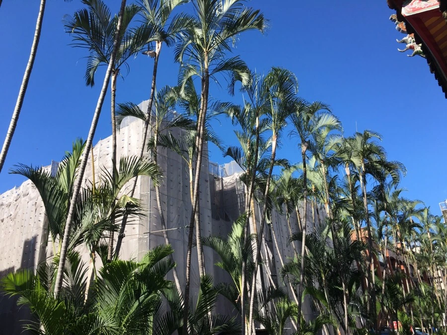 attachImage_1286329329.jpeg?type=w966