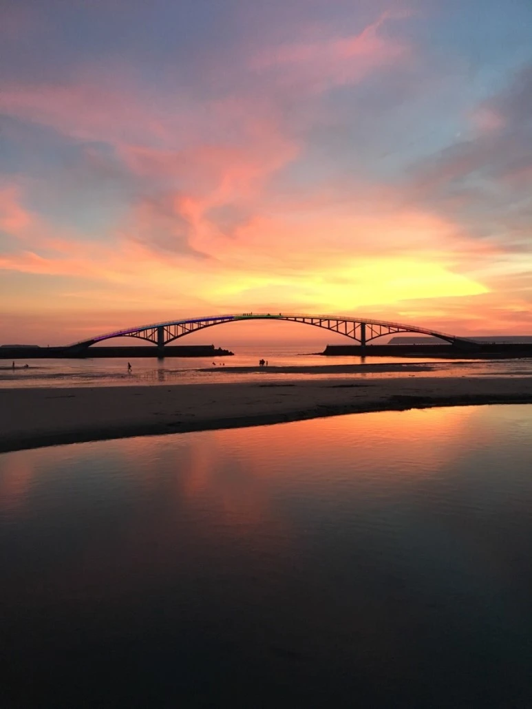 attachImage_2390326797.jpeg?type=w773