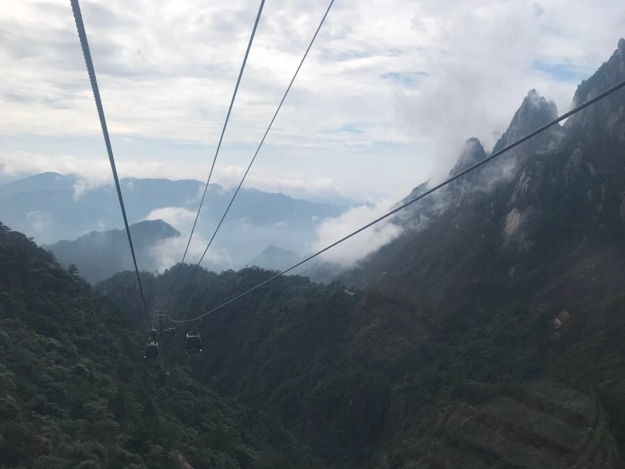 IMG_0705.jpg?type=w966