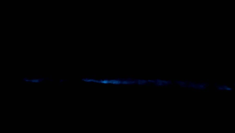 IMG_8653.jpg?type=w966