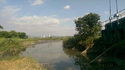 IMAG6220.jpg?type=w773