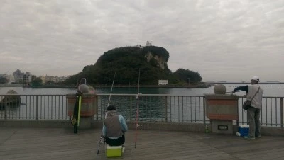 IMAG3248.jpg?type=w2