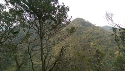 IMAG4179.jpg?type=w2