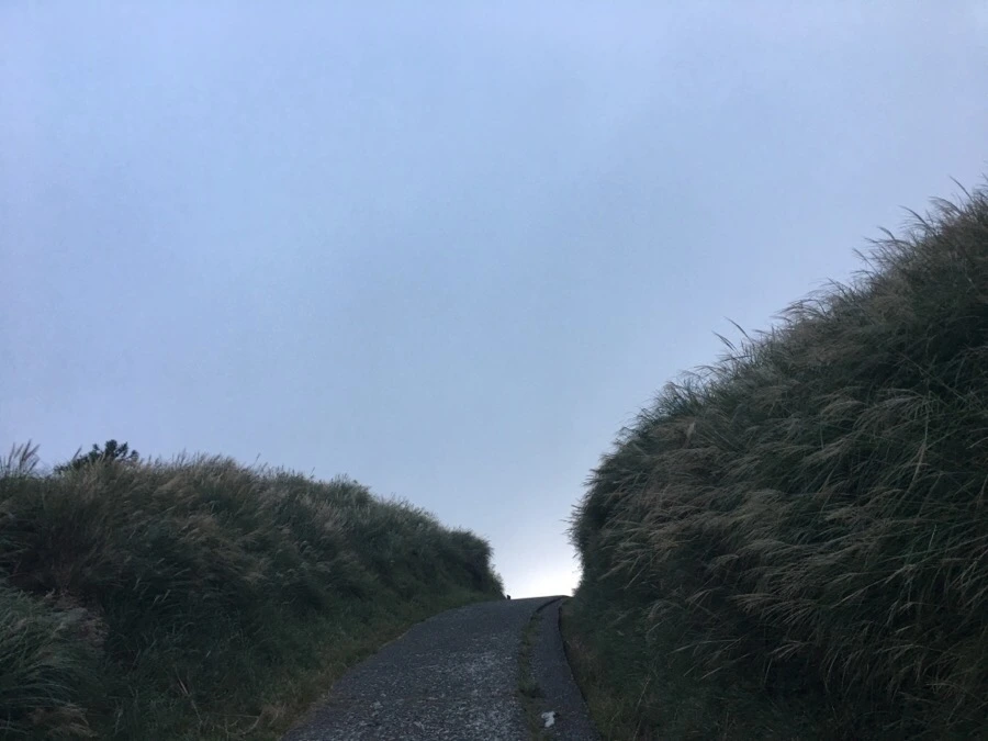 IMG_5420.JPG?type=w966