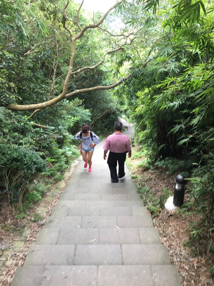 IMG_4741.JPG?type=w966