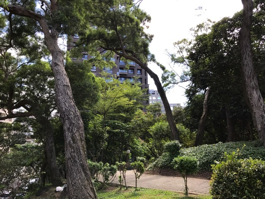 IMG_4829.JPG?type=w966