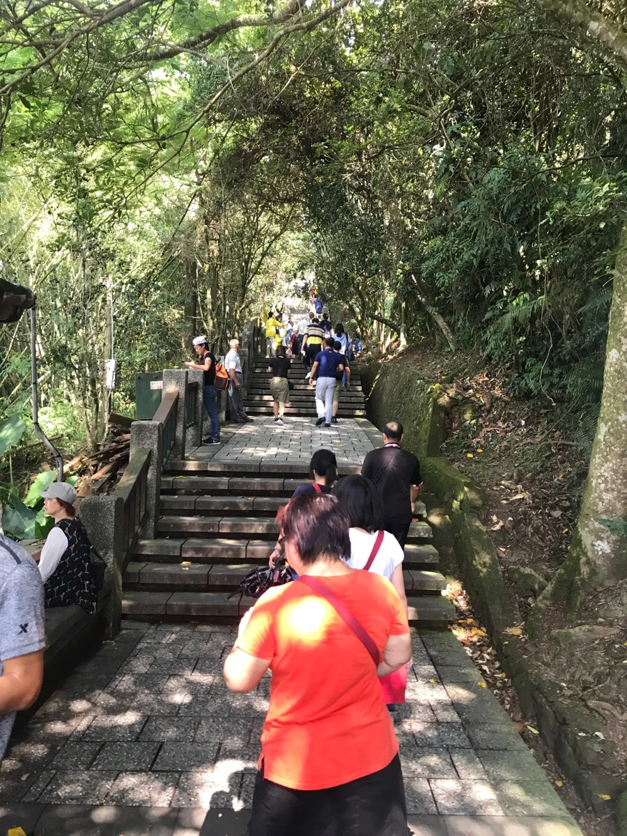 IMG_2943.jpg?type=w966