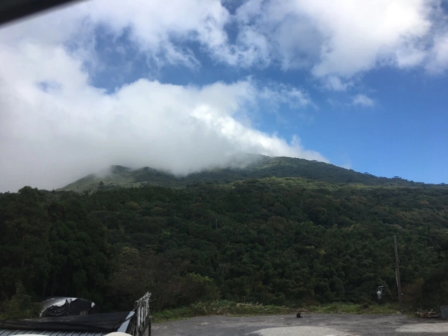 IMG_5337.JPG?type=w966