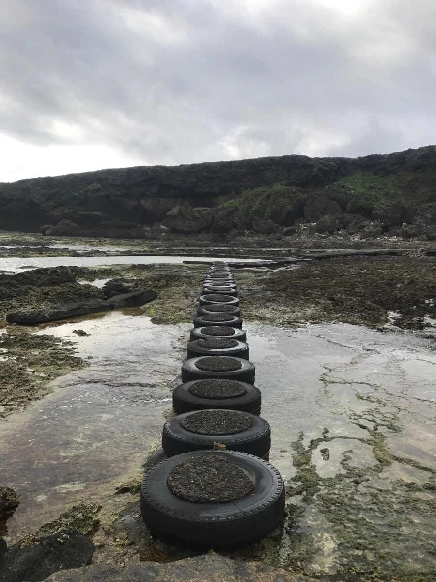 IMG_1565.jpg?type=w966