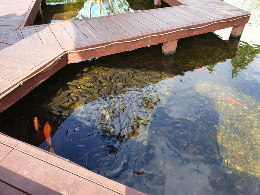 IMG_1646.JPG?type=w1