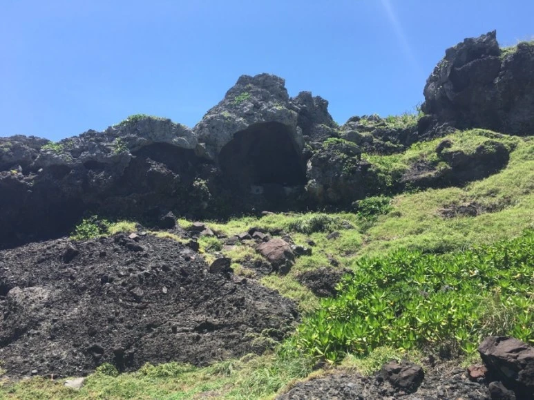 attachImage_2380001039.jpeg?type=w773