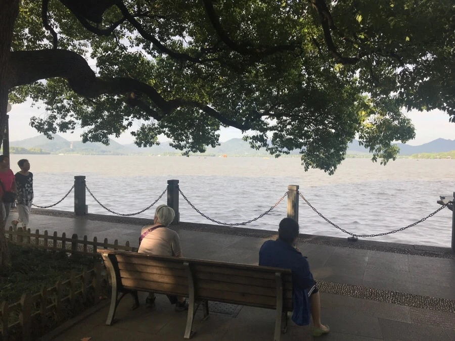 IMG_1042.jpg?type=w966