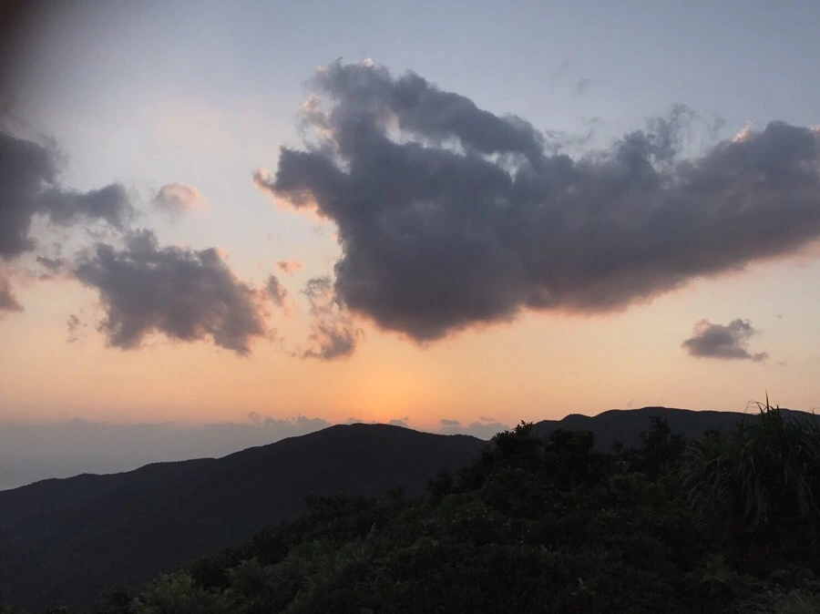 IMG_3993.jpg?type=w966