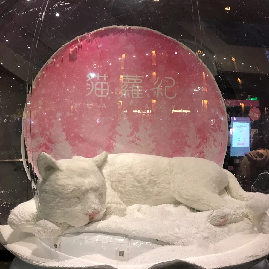 IMG_6399.jpg?type=w966