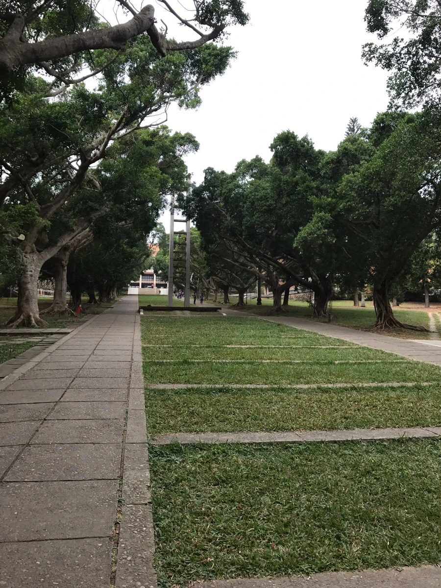 IMG_9951.jpg?type=w966