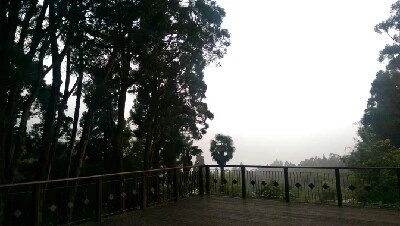 IMAG4826.jpg?type=w773