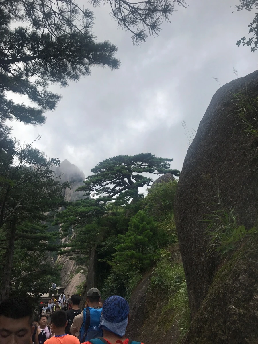 IMG_0909.jpg?type=w966