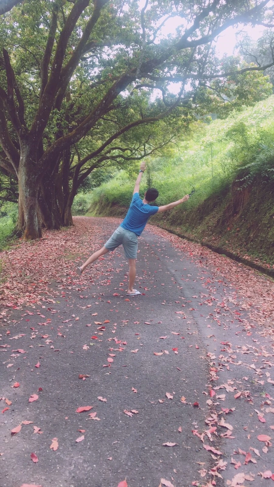 IMG_3481.jpg?type=w966