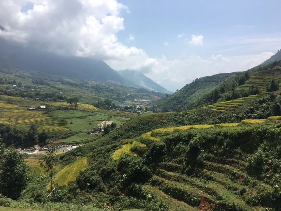 IMG_3542.JPG?type=w1