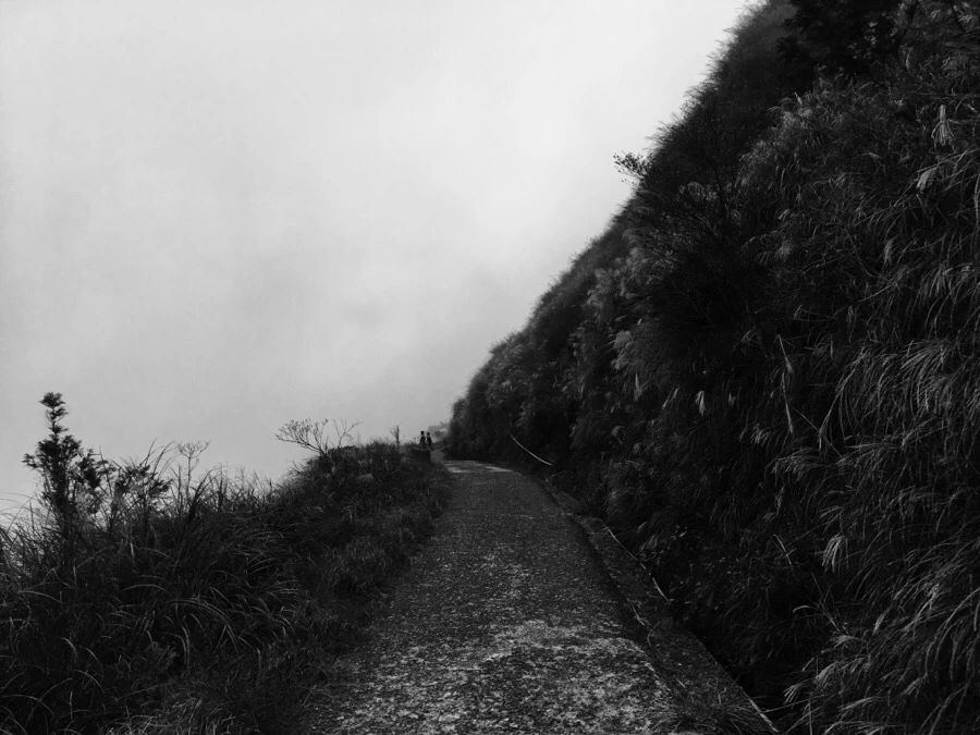 IMG_5395.JPG?type=w966