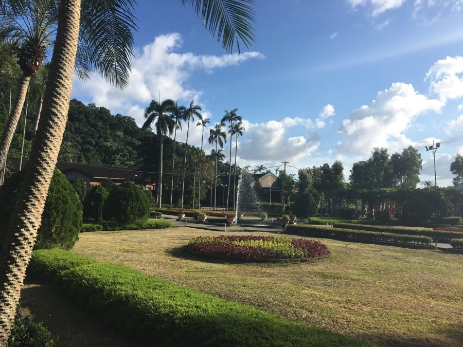 attachImage_3114383778.jpeg?type=w966