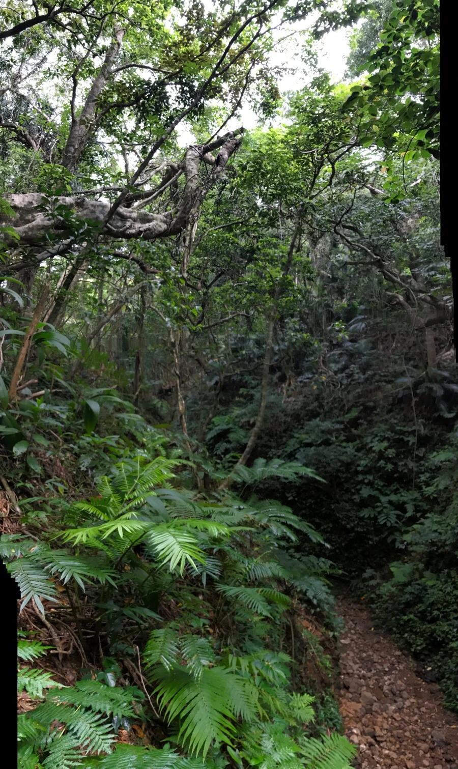 IMG_3647.jpg?type=w966