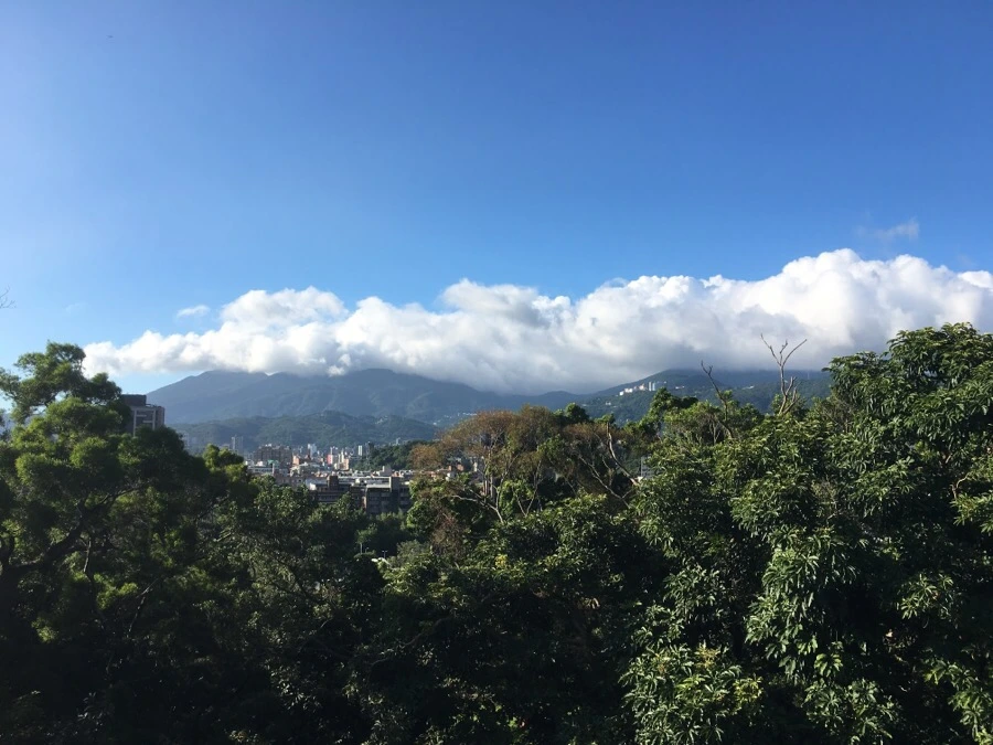 attachImage_472862510.jpeg?type=w966