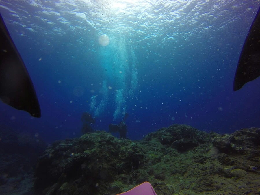 IMG_3577.jpg?type=w966