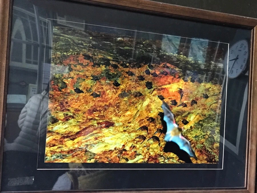 IMG_2055.jpg?type=w966