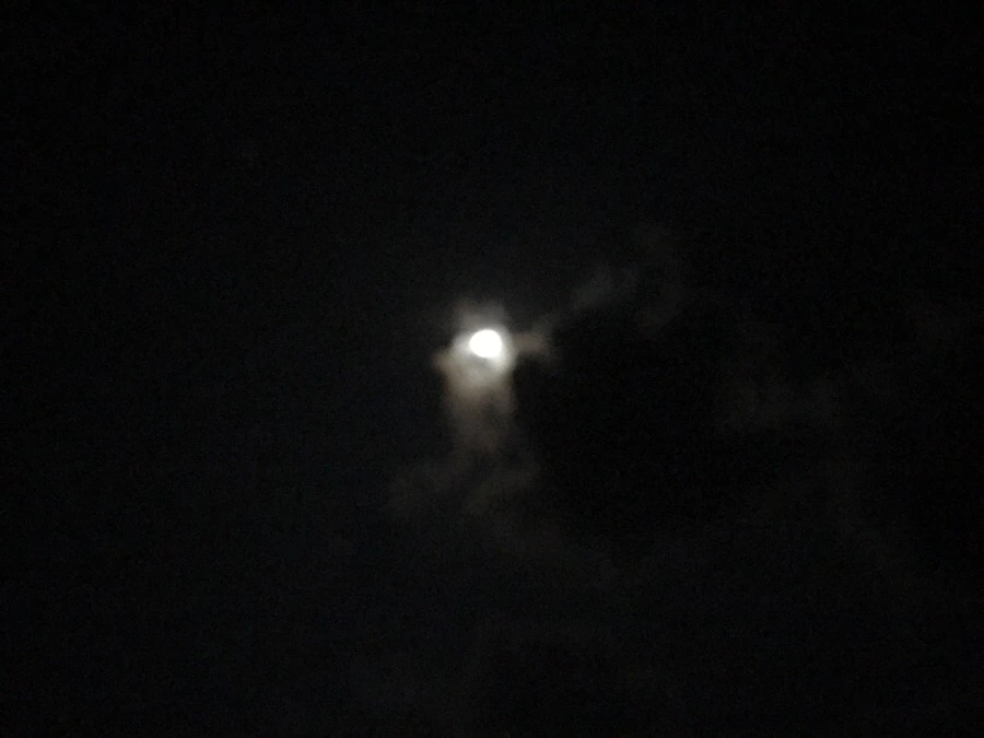 IMG_3833.jpg?type=w966