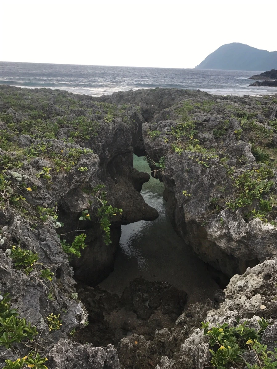 IMG_3861.jpg?type=w966