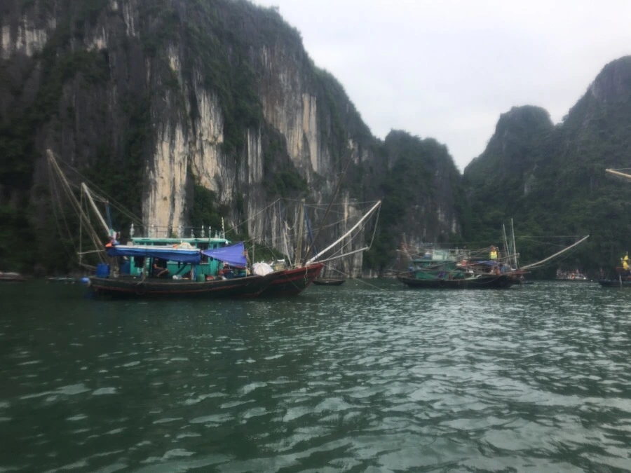 IMG_3089.JPG?type=w1