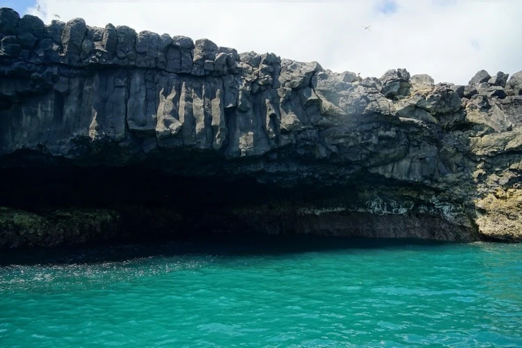 S__2809907.jpg?type=w773