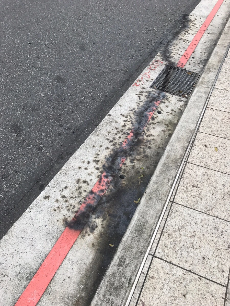 IMG_9887.jpg?type=w966