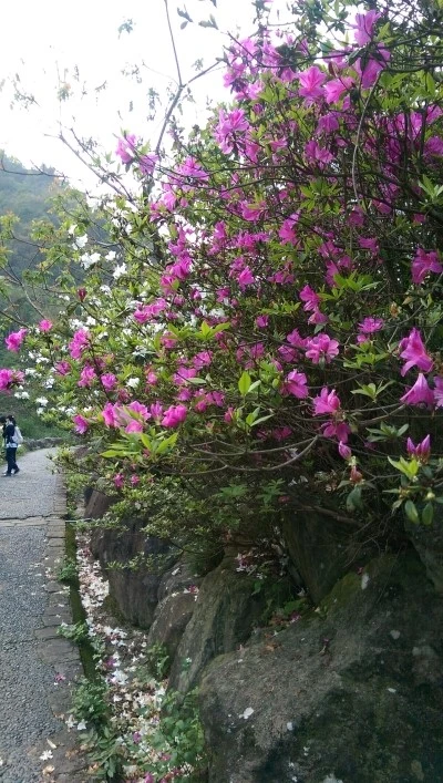 IMAG4180.jpg?type=w2