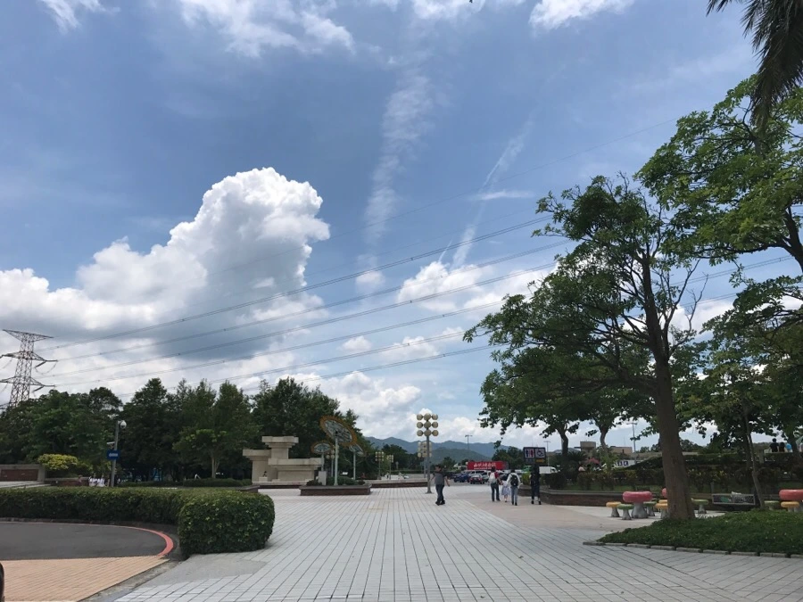 IMG_8792.jpg?type=w966