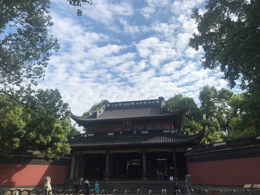 IMG_1109.jpg?type=w966