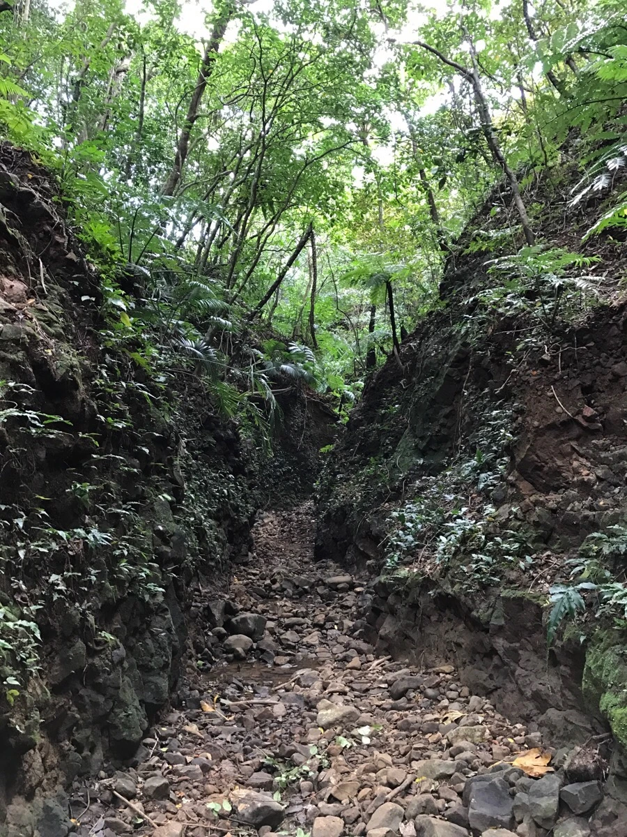 IMG_3658.jpg?type=w966